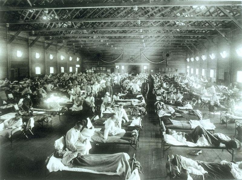 در سال ۱۹۱۸ فراگیری آنفولانزای اسپانیایی همه چیز را تغییر داد. این همهگیری بیماری توانست در سراسر دنیا ۵۰ تا ۱۰۰ میلیون انسان را از پای درآورد. در سراسر زمین، از هر ۲۰ نفر یک نفر به دلیل آنفولانزای اسپانیایی جان خود را از دست داد.